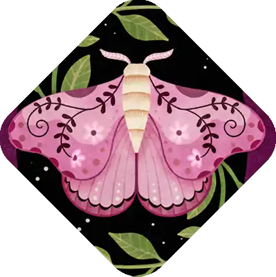 Kollektionstitelbild Diamond Painting Schmetterling