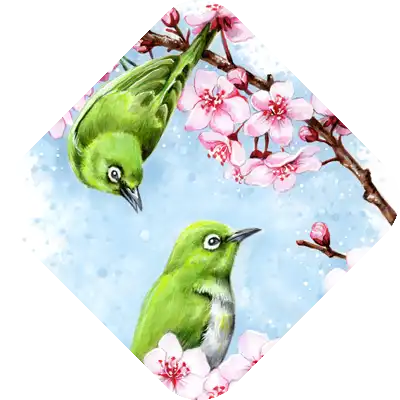 Kollektionstitelbild Diamond Painting Voegel