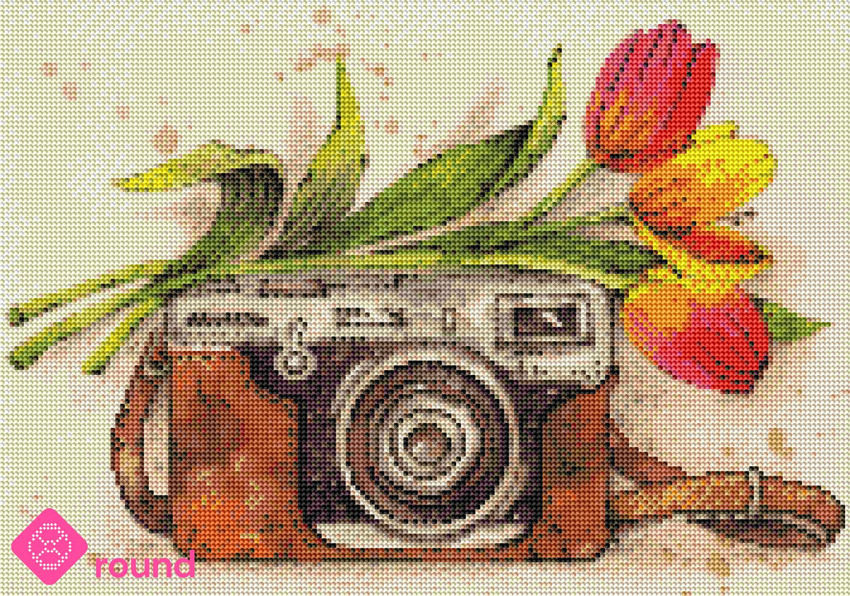 Diamond Painting - Anna Petunova - Nostalgic Camera