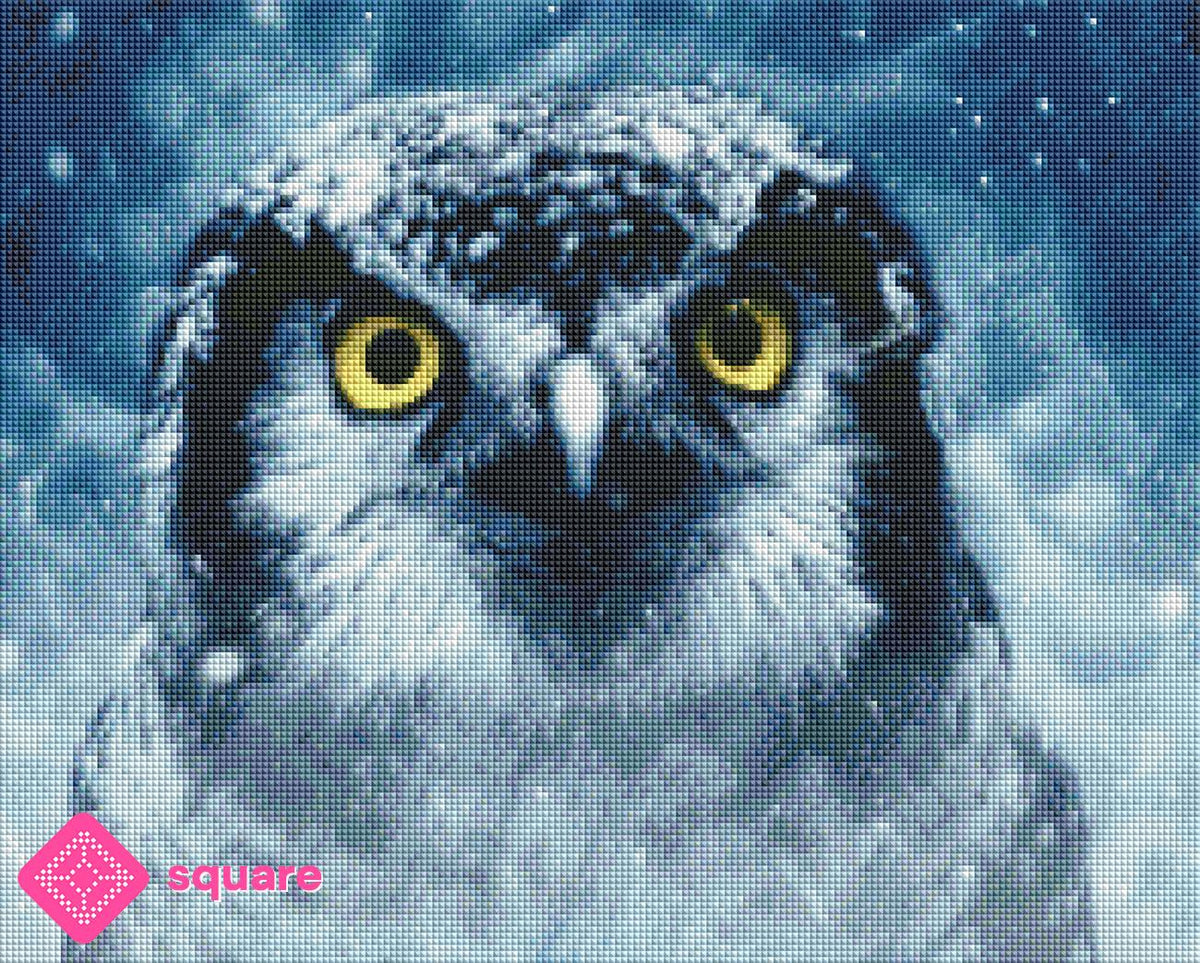 Diamond Painting Bild - Mystic Owl