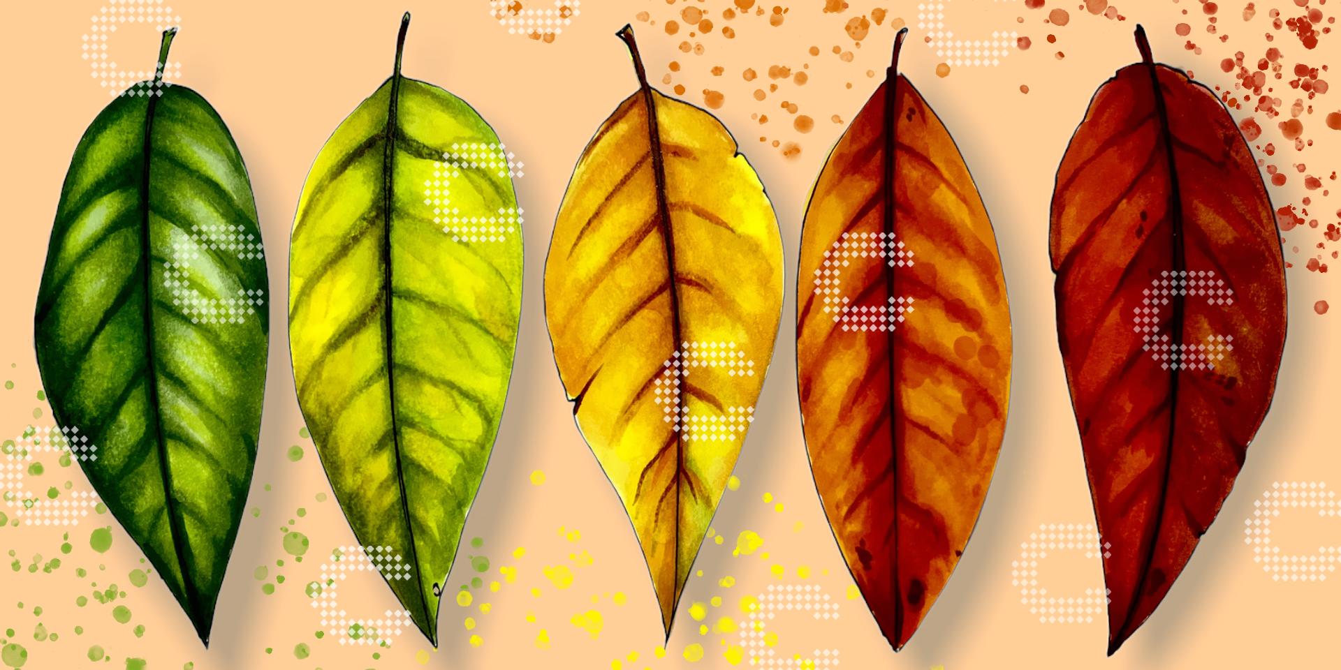 Diamond Painting Herbst Motiv mit Herbstlaub und leuchtenden Farben