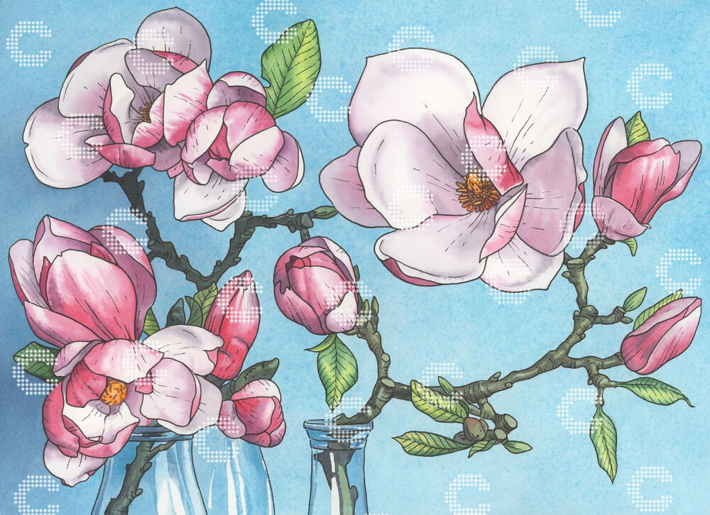 Diamond Painting zarte rosa-weiße Magnolienblüten in transparenten Glasgefäßen vor einem klaren blauen Himmel