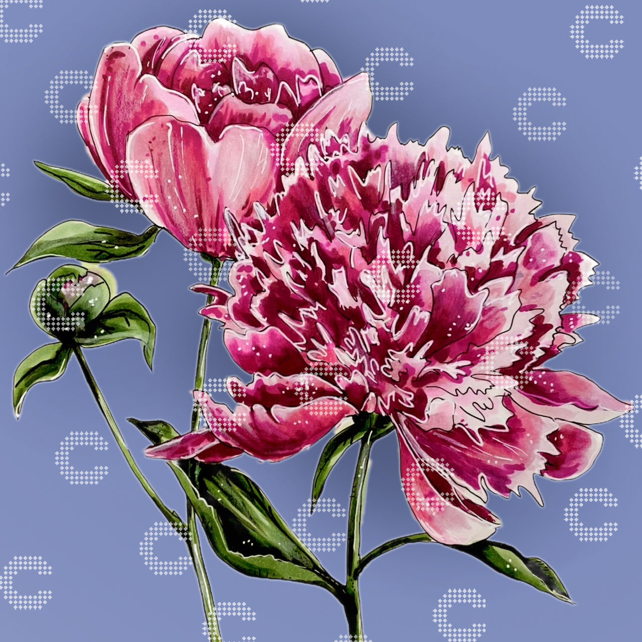 Diamond Painting Original-Bild mit einem Bund rosafarbener Pfingstrosen vor blauem Hintergrund, darunter eine voll erblühte Blüte, eine halb geöffnete Pfingstrose und eine zarte Knospe