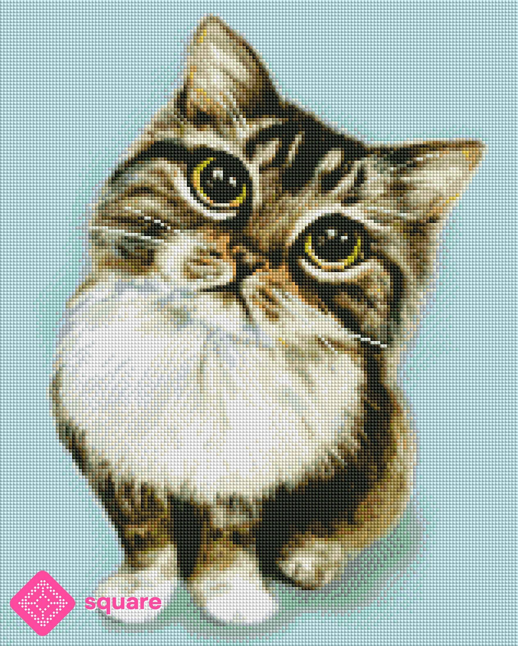 Diamond Painting Vorschau mit getigerter Katze in funkelnder Steinoptik