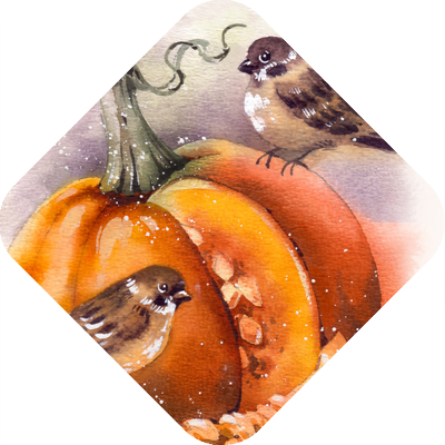 Kollektionstitelbild Herbst