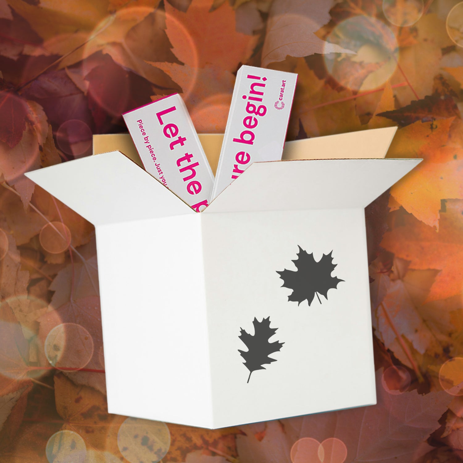 Diamond Painting - Fall Surprise Box