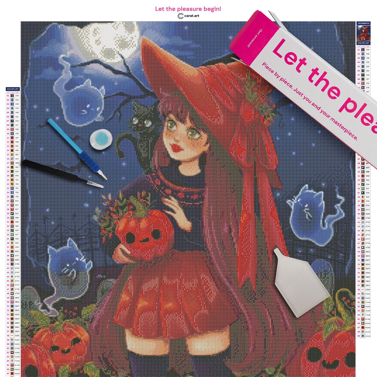 Diamond Painting - Nimeryart - Pumpkin witch