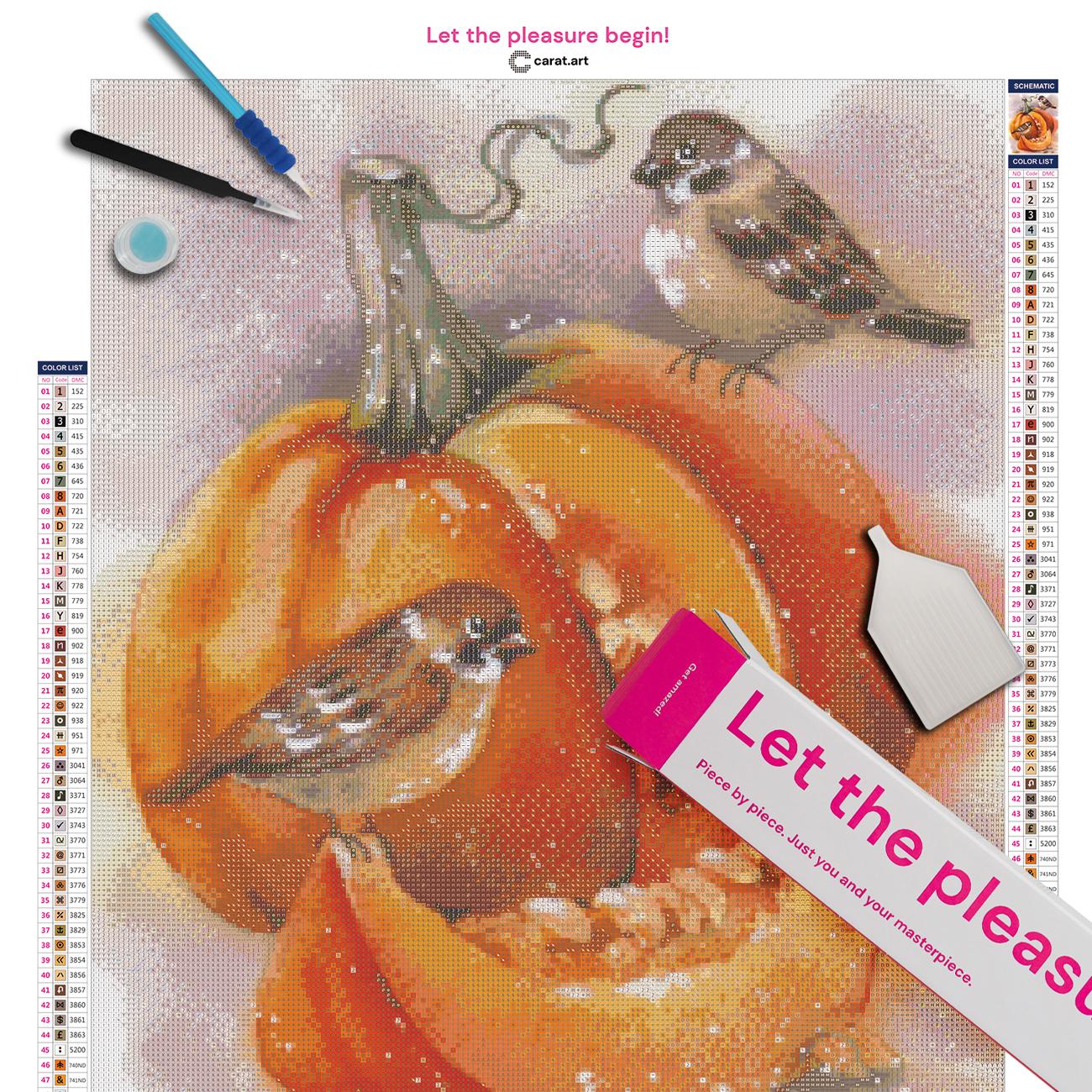 Diamond Painting Set mit Kürbismotiv mit Vögeln, Carat Art Premium Leinwand und Zubehör