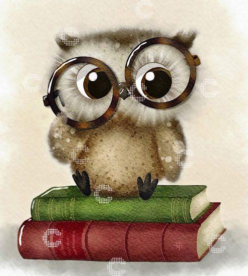 Diamond Painting - Sannadorable - Book Owl