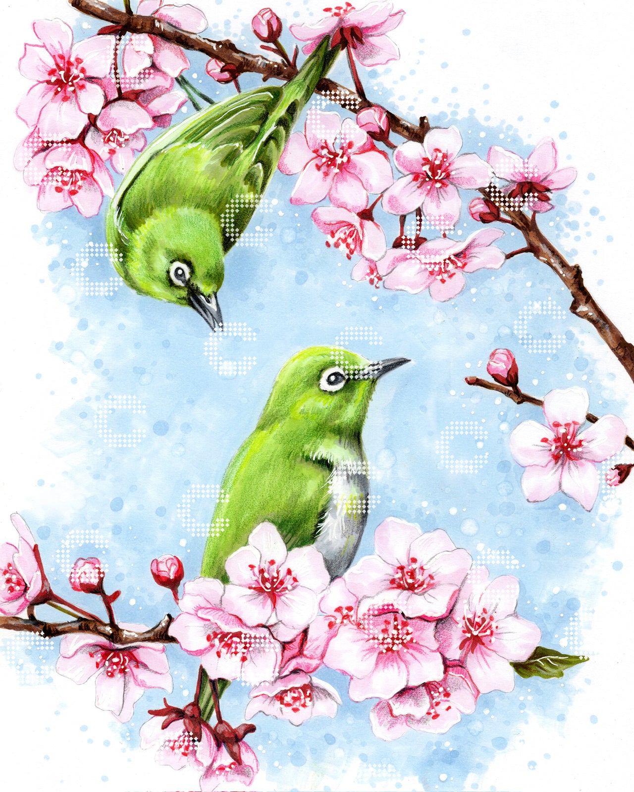 Diamond Painting - anyta.kulyk - Oiseaux du printemps